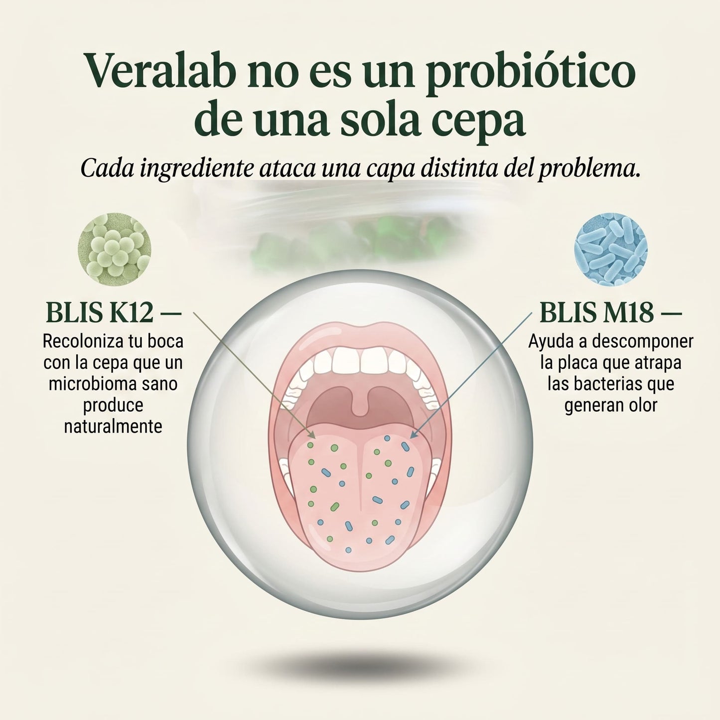 VERALAB® — Probiótico Oral con BLIS K12 + M18